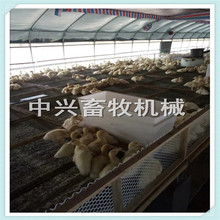���ϲۈ�r ��ʳ��Ҏ�� �Ӵ�����ι��ʳ��