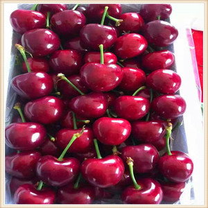 樱桃车厘子现货，特级果2斤装美早樱桃，一件代发，顺丰包邮
