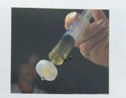 WHATMAN 10463442针头式过滤器25MM  0.45UM尼龙滤膜滤器