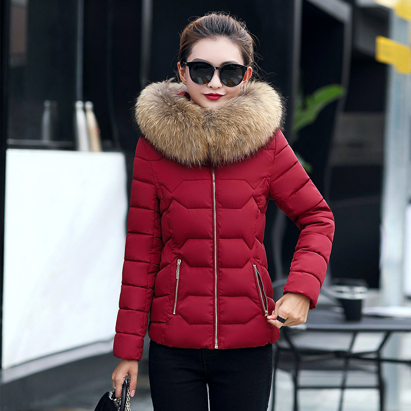 Sumitong 2020 new down cotton padded jacket Women Short autumn and winter Korean version of women's cotton padded jacket with large hair collar