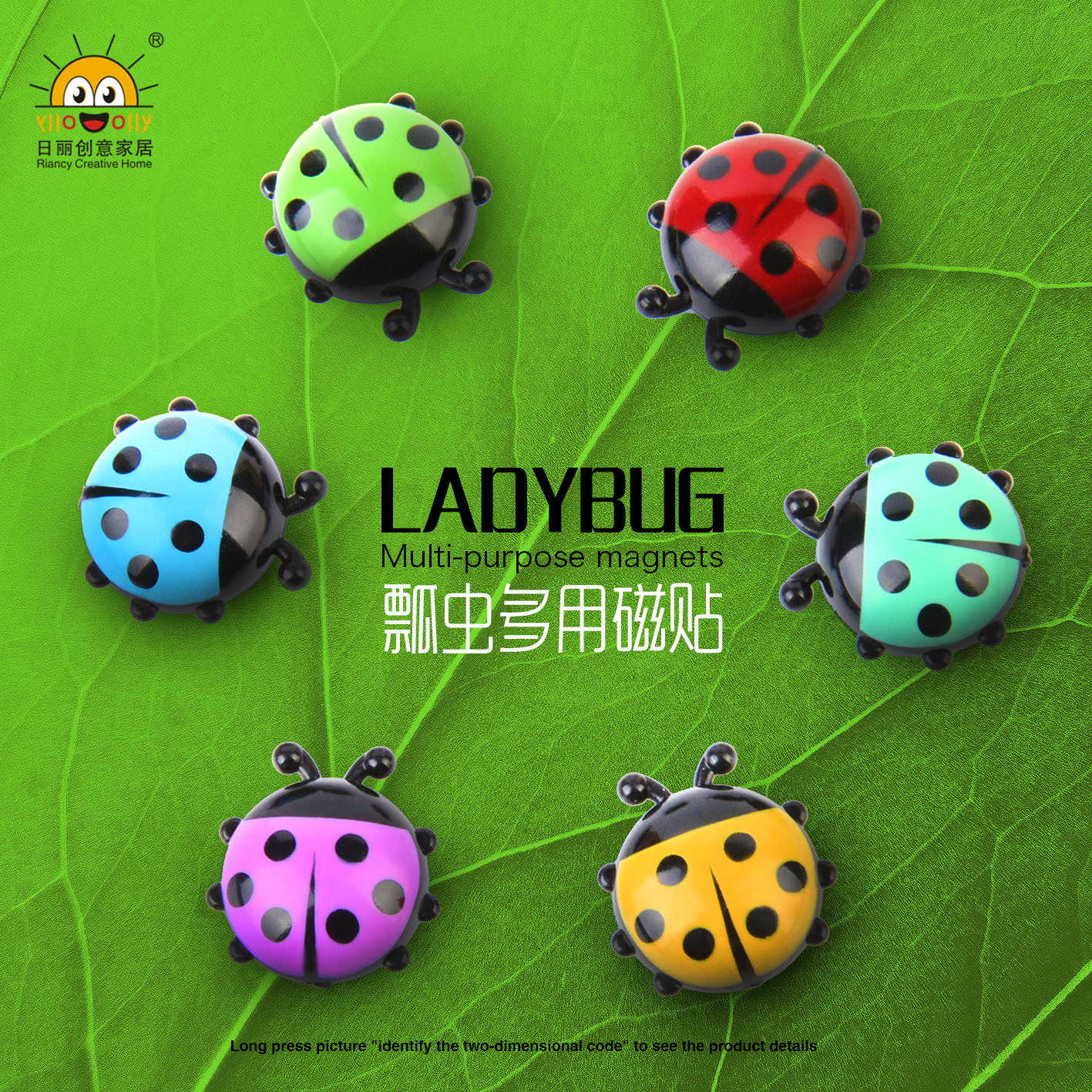 RB238瓢虫多用磁贴