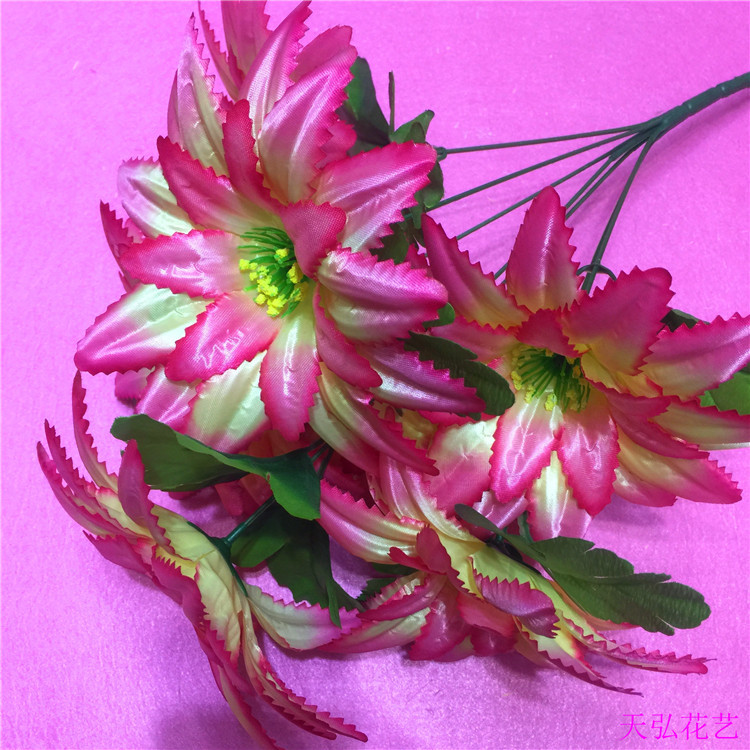 IMG_8494(20170816-153536)