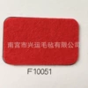 F10051