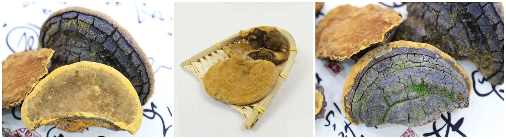 QQ截图20171023143950_副本