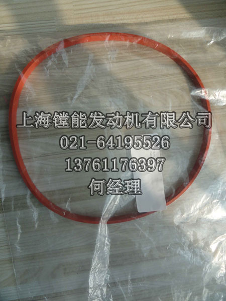 促销发动机配件_161A15027/1 圆柱垫  GASKET 垫片 MTU