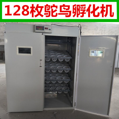 德州鸵鸟孵化机
