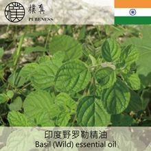 野罗勒 Basil (Wild) essential oil台湾朴真