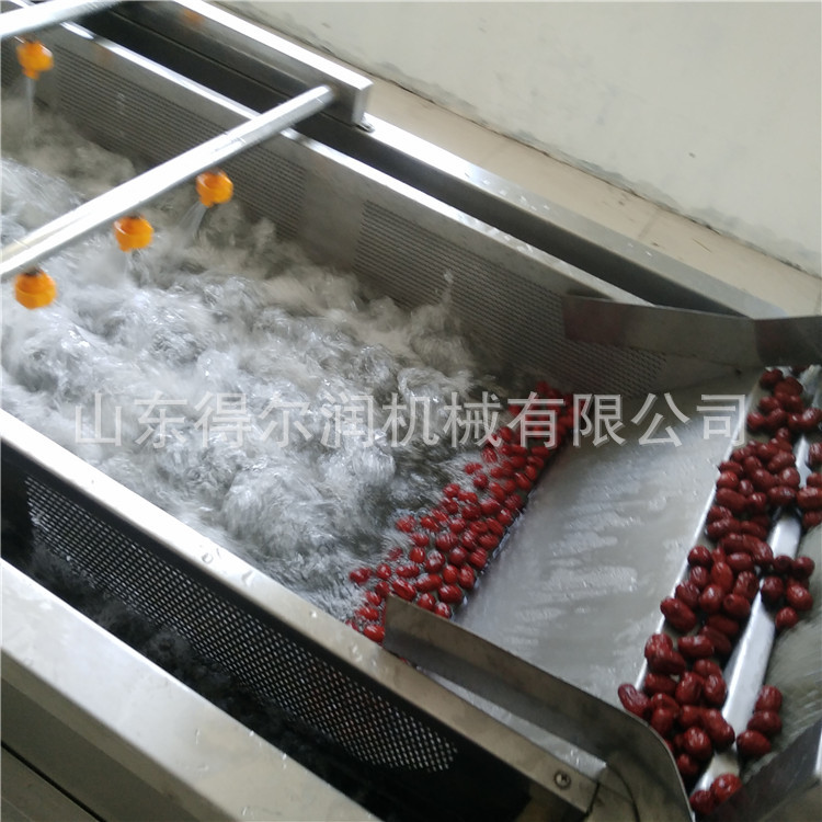 大棗清洗機(jī)