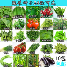 蔬菜陽台種菜種子盆栽蔬菜種套餐家庭院易種24款