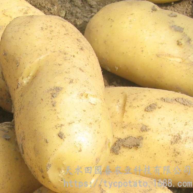 2011754686_1910037688_副本