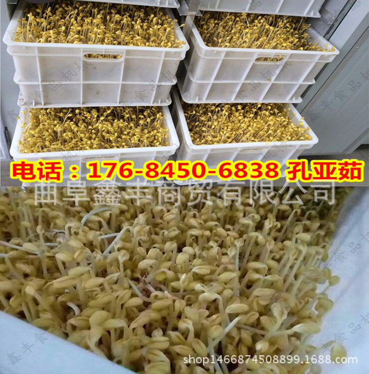 QQ�DƬ20170729105711_06