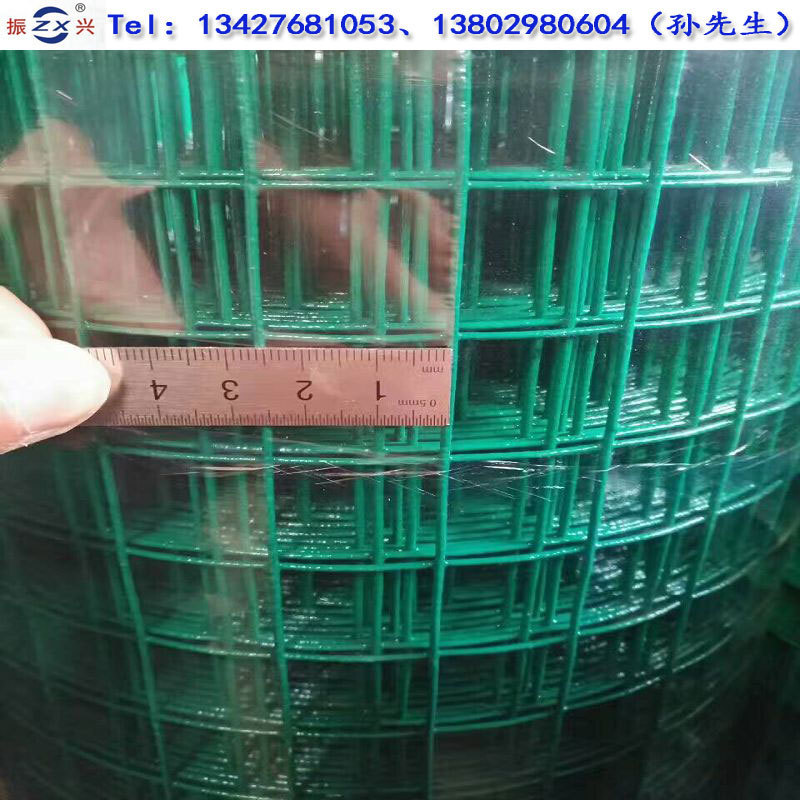 荷兰网现货 养殖围栏网 圈地圈山荷兰网 散养鸡铁丝围栏网