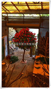 ����������ޱ���� ����٘� ���滨�� ��ľ�U��ޱ�����b���