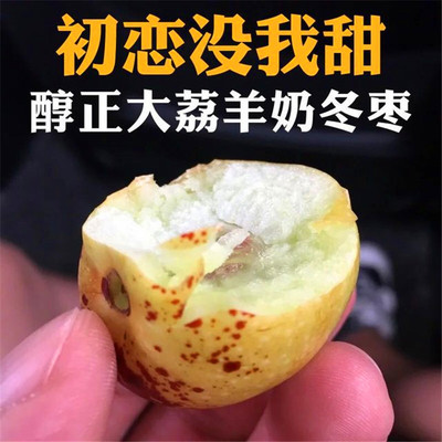 2018年新鲜上市陕西大荔脆甜冬枣一级精品两斤装包邮一件代发批发