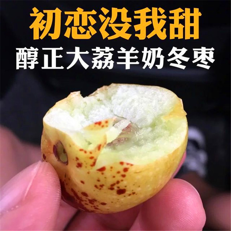 2018年新鲜上市陕西大荔脆甜冬枣一级精品两斤装包邮一件代发批发