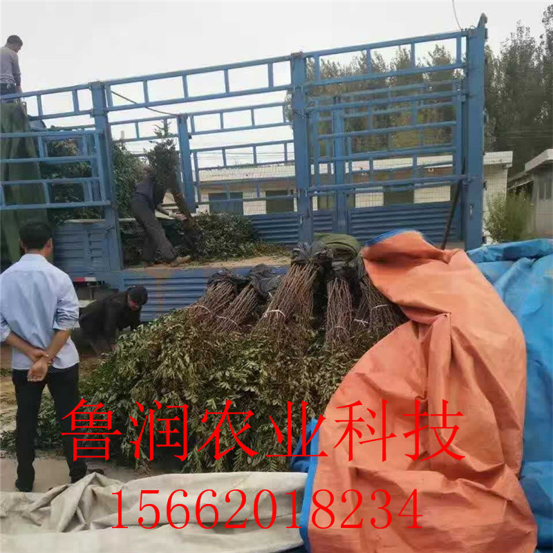 [微信图片_20170902194922]