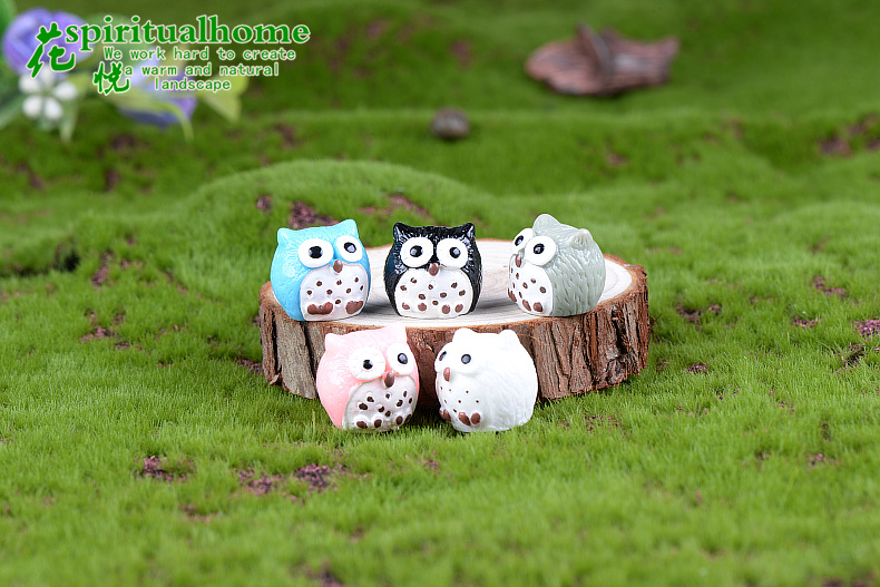 小号 5色猫头鹰 (2)