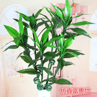 ���渻�F�����_�\��@�l��͏d�b����~�L��Gֲ�������~���l