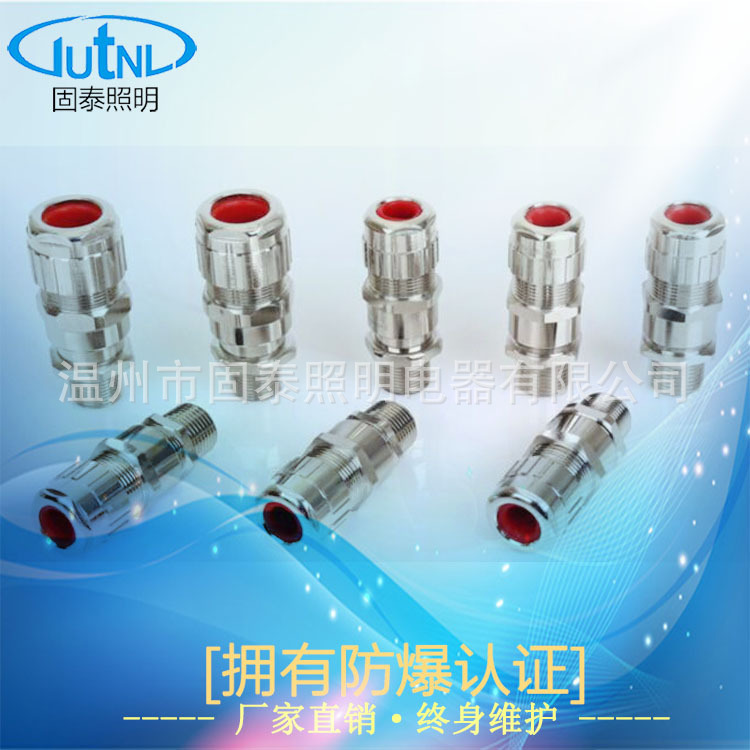 DQM-III-M25*1.5铠装双密封防爆电缆夹紧密封接头 防爆填料函