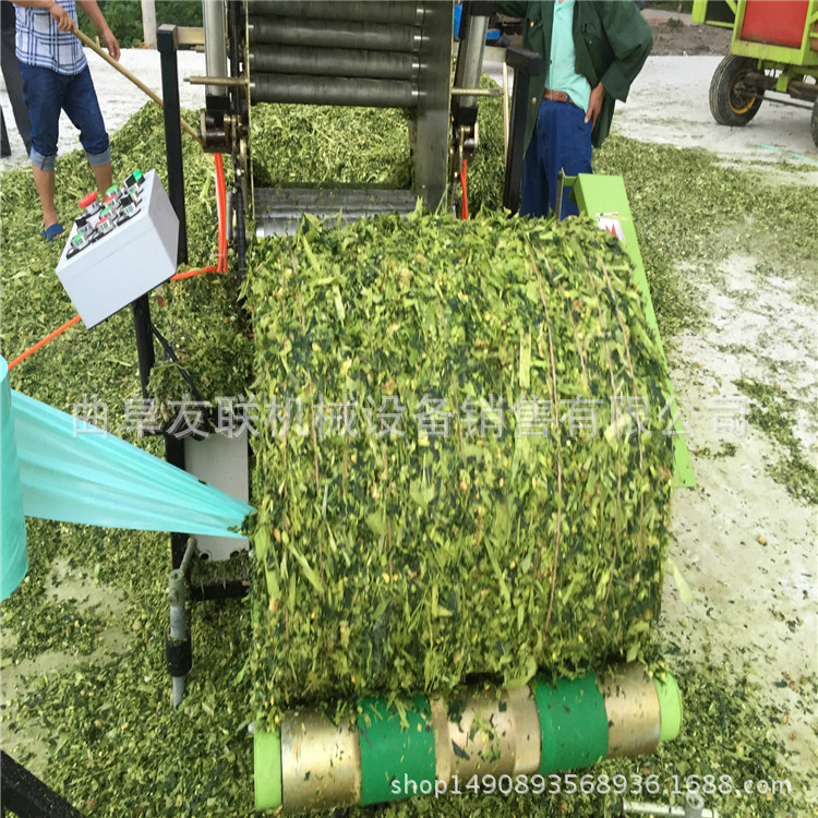 3536823871_364246273