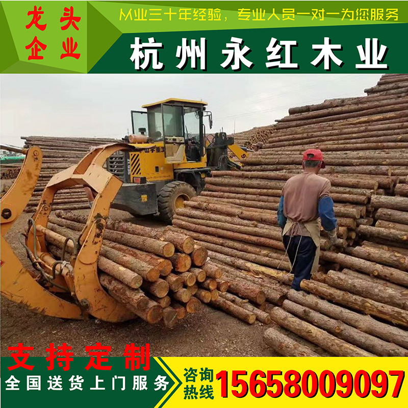 6米松木樁浙江圓木樁打樁木2-8米落葉松木材市場全國送貨原木批發
