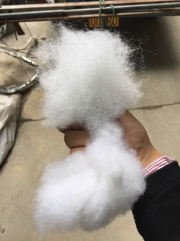PP cotton