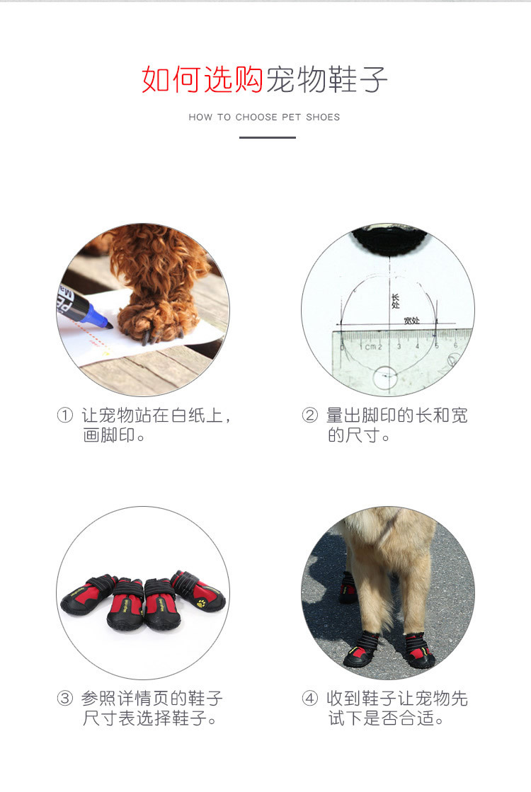 宠物鞋子新_r3_c1