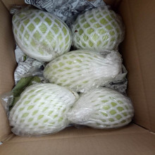 一斤番石榴价格_最新一斤番石榴价格\/批发报价