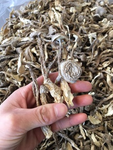 ���l����2024��؛���x¹�׹��ɾ�ɽ���ʳ�þ�һ��؛Դ�a��ֱ�N