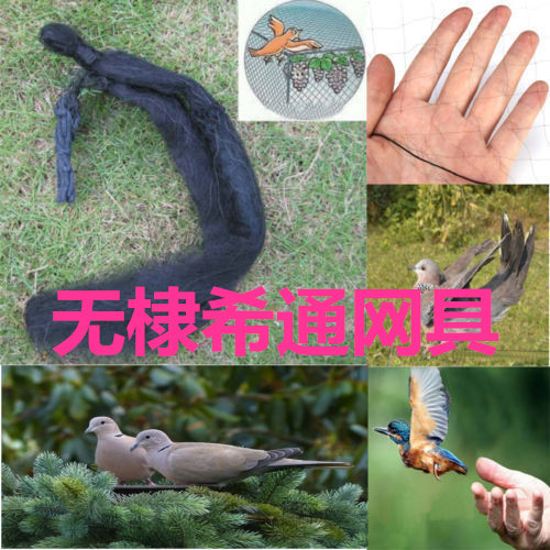 鳥網批發鳥網防 鳥網8888
