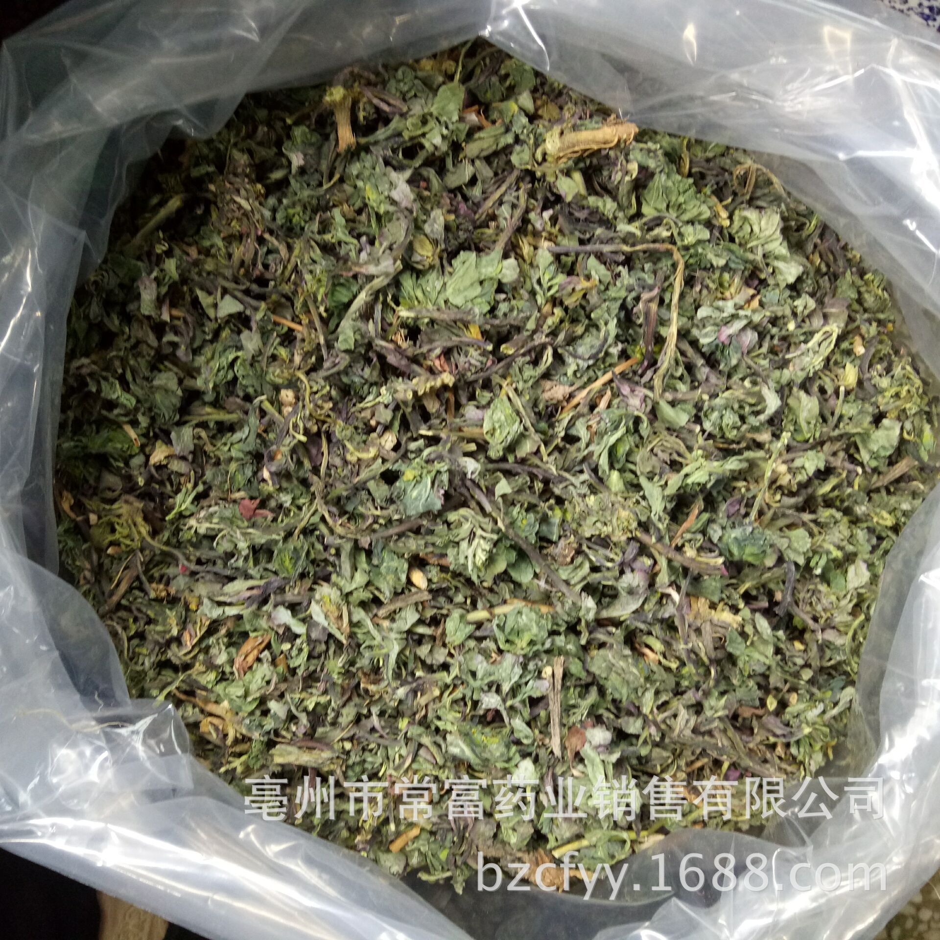 Dried Ze Qi Maoyancao Herb Slices Traditional Chinese Herbal Tea Ingredient 1 Jin Pack specifications