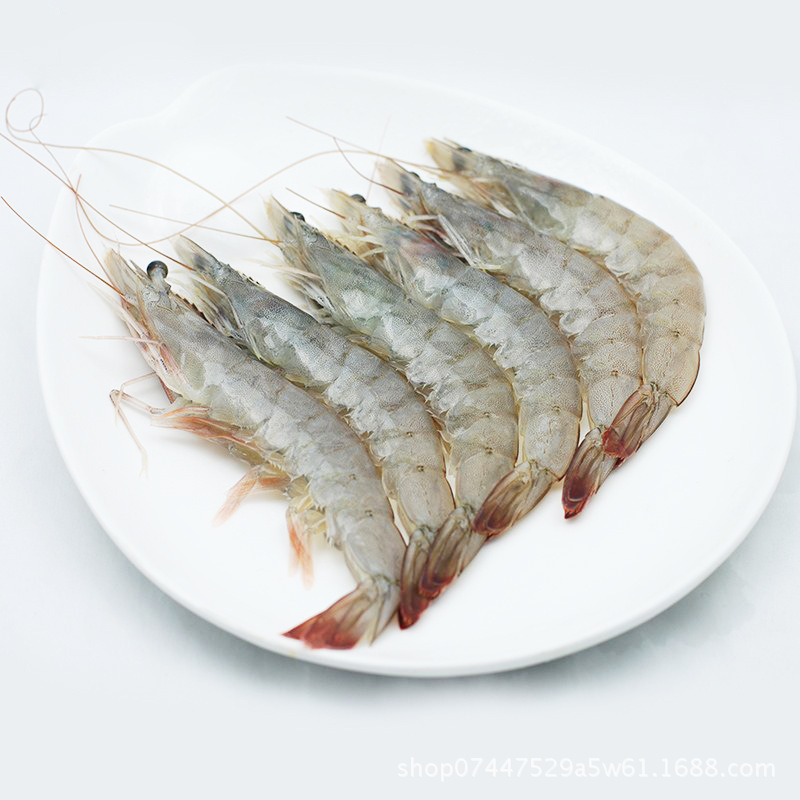 鲜活冰冻30/40南美白对虾青虾1.8kg 海鲜水产一件代发 供货微商|ms