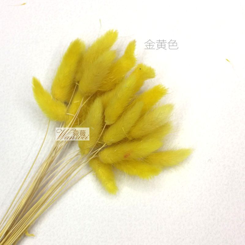 微信图片_20170521112105_副本