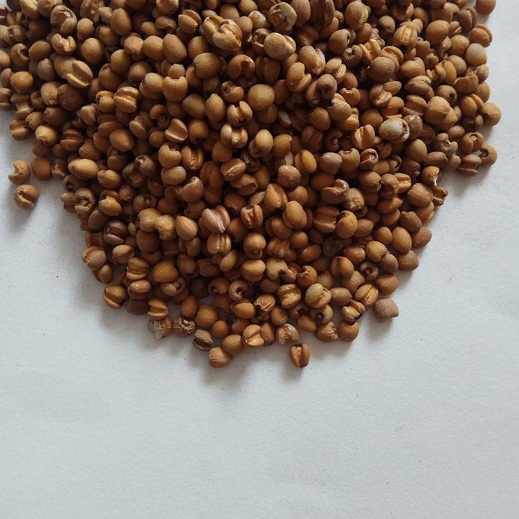 Roasted Red Coix Seed Low Temperature Baked Yi Mi 500g Chinese Grain key features