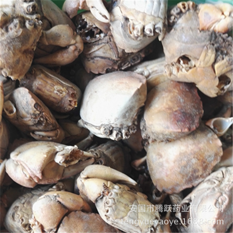 Fang Hai Crab Shell Dried Seafood Herb Traditional TCM Ingredient Wholesale Bulk overview