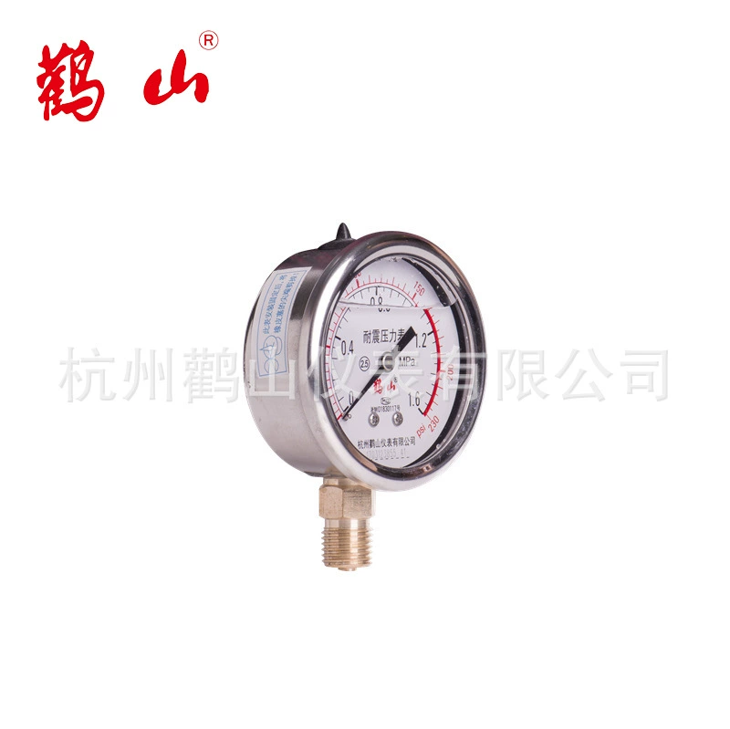 YN60YN63 манометр из нержавеющей стали