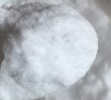 �ձ���ϞHNP-11������ʯϞ�M��Ϟ���������طNϞ��TTR̼�ی���Ϟ