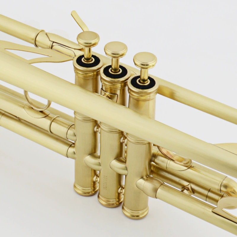 津宝 Small JBTR-450 Small Musical Instrument Brushed Matt Small Wholesale Tender Contact Customer Service