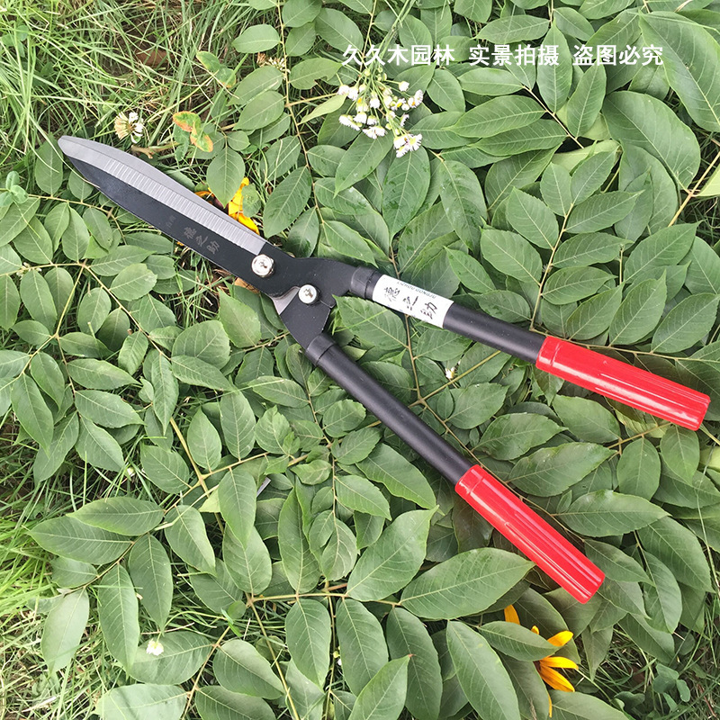 QQ圖片20170621153653