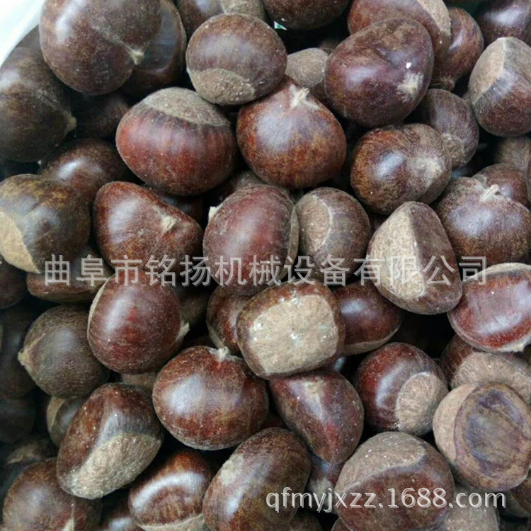 连续式滚筒炒锅池州封闭式滚筒花生瓜子炒货机