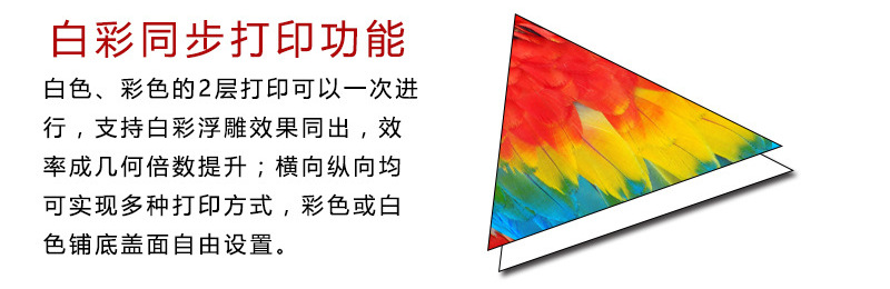 TIM؈D20170802141104