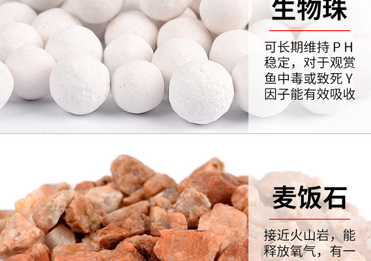 �˲�-����750_16