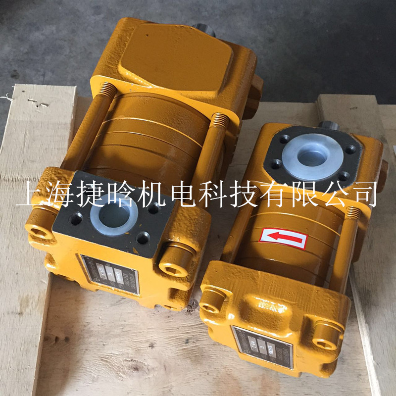 NBZ5-C250F 上海航发SAEMP 液压齿轮泵 直线内啮内啮合油泵