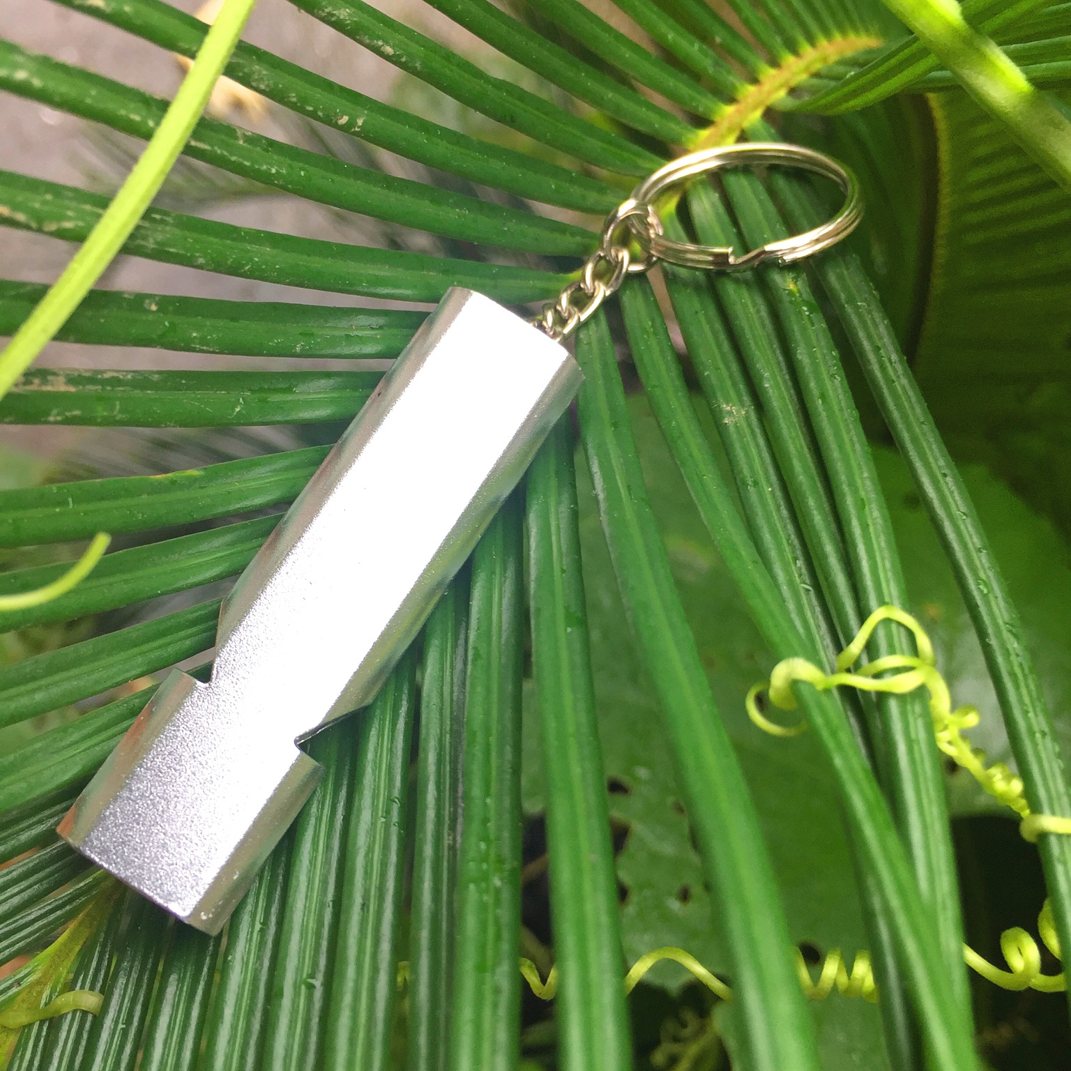 照片 008_看图王