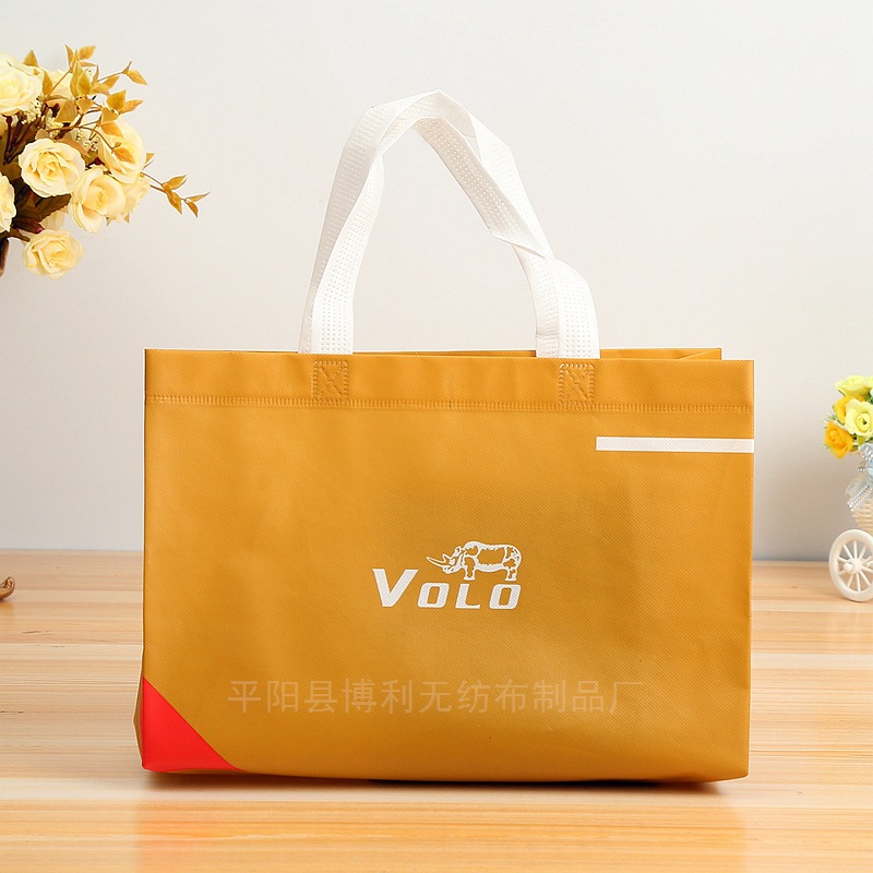 定制鞋外袋现货立体无纺布袋覆膜袋厂家定做购物环保袋服装手提袋