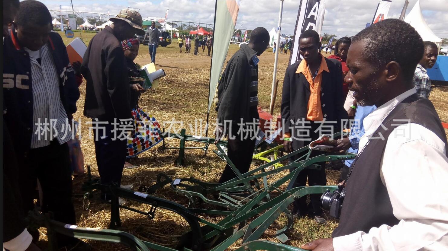 大量供应出口南非，安哥拉畜力犁，犁 玉米播种机畜力耙