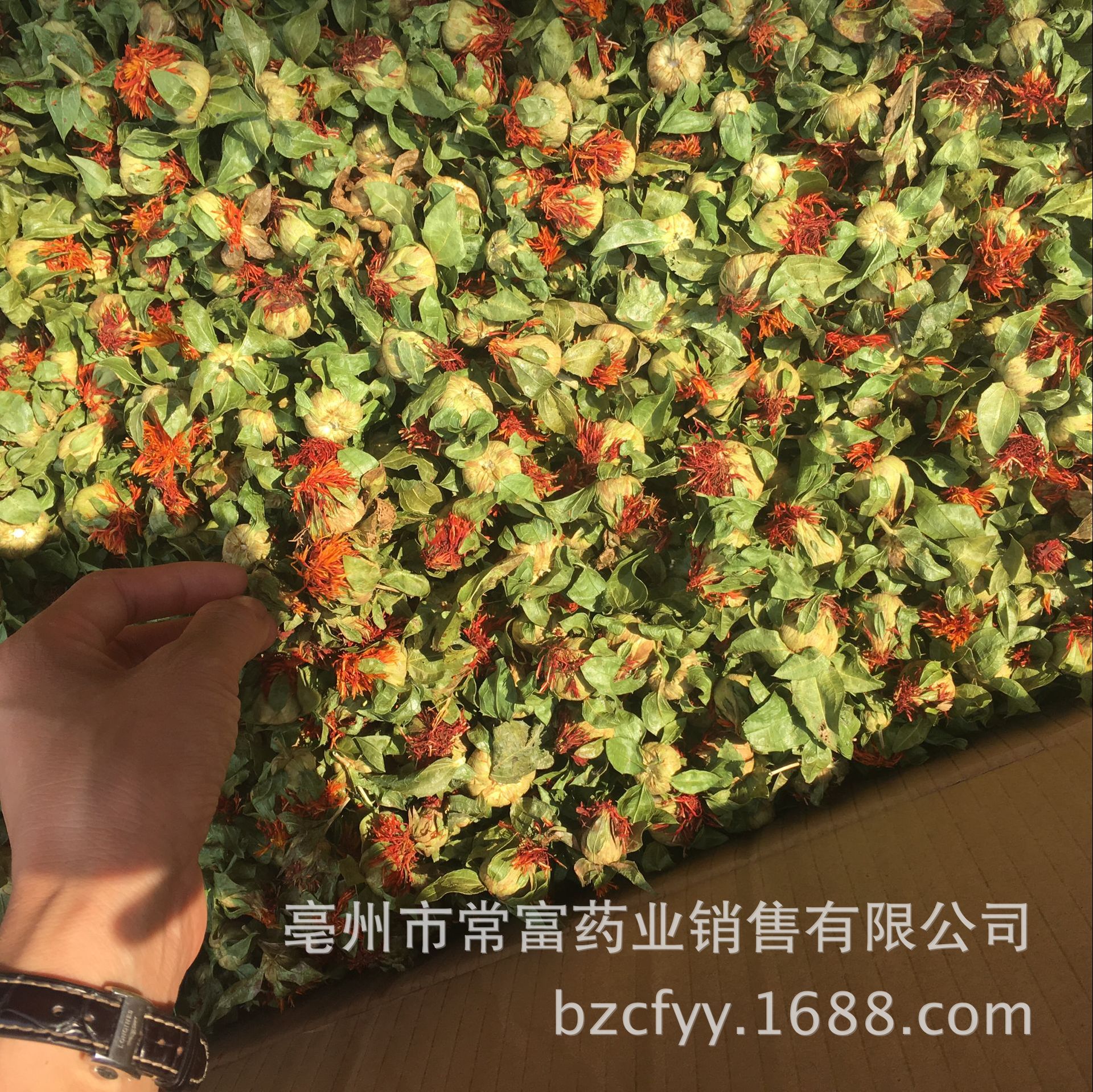Safflower Ball Cheng Bo Luo Herbal Flower Tea Loose Dried Botanical for Traditional Infusions in use