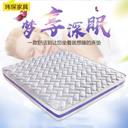 供应批发席梦思榻榻米1.8m椰棕弹簧床垫 成人软硬两用床垫可定做