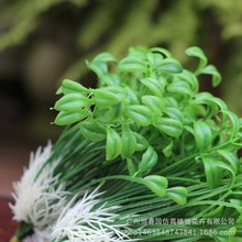 仿真豆芽室内外装饰塑料豆芽苗假植物仿真花装饰仿真植物摆件