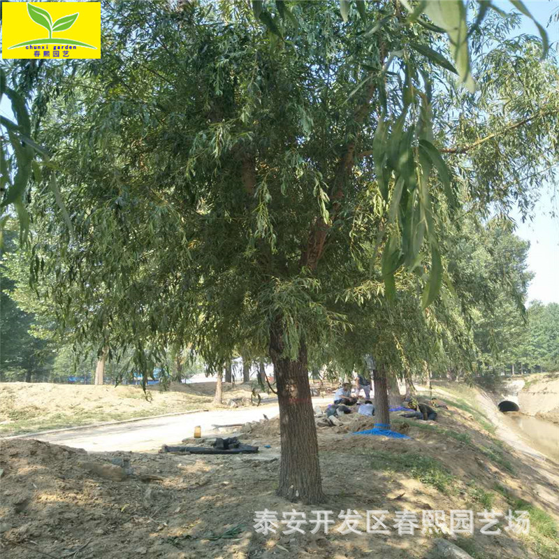 微信图片_20170622152917
